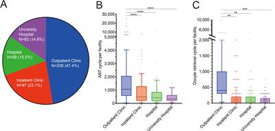 Survey of in vitro fertilization add-ons in Japan (Izanami project)